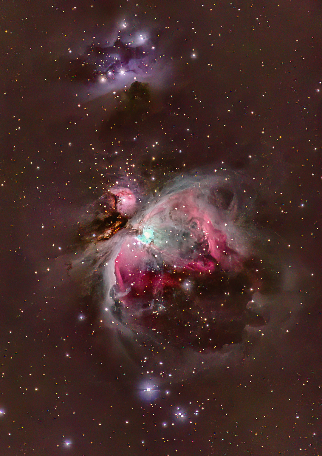 The Orion Nebula captured from IISc Bangalore. Credits-Astrae
